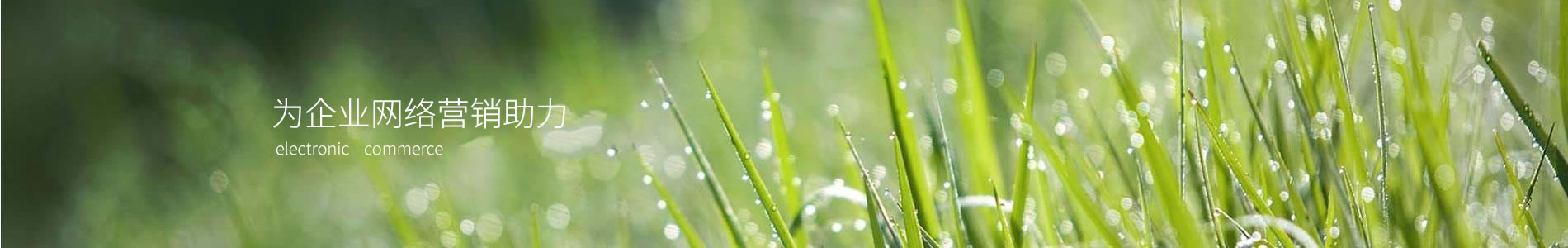 Ԫ˳ܵ޹˾